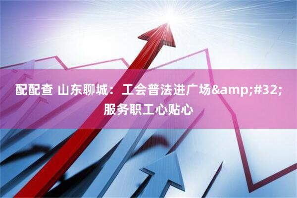 配配查 山东聊城：工会普法进广场&#32;服务职工心贴心