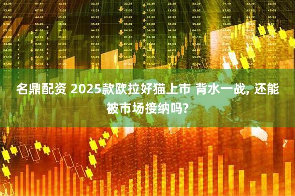 名鼎配资 2025款欧拉好猫上市 背水一战, 还能被市场接纳吗?