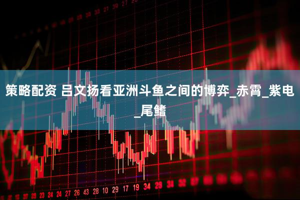 策略配资 吕文扬看亚洲斗鱼之间的博弈_赤霄_紫电_尾鳍