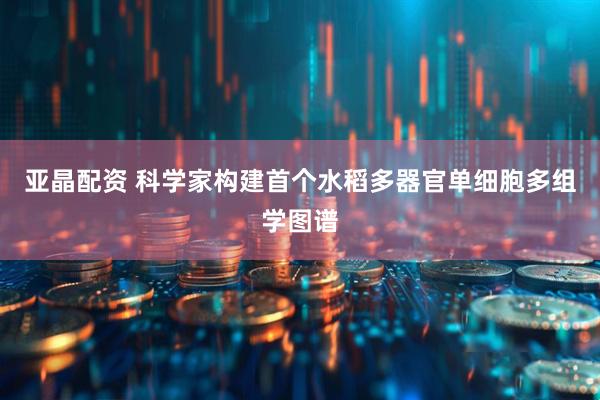 亚晶配资 科学家构建首个水稻多器官单细胞多组学图谱