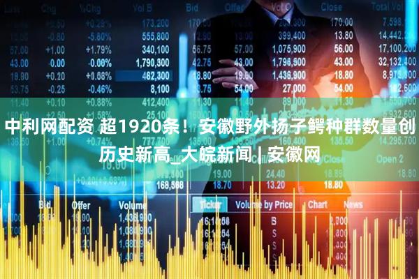中利网配资 超1920条！安徽野外扬子鳄种群数量创历史新高_大皖新闻 | 安徽网