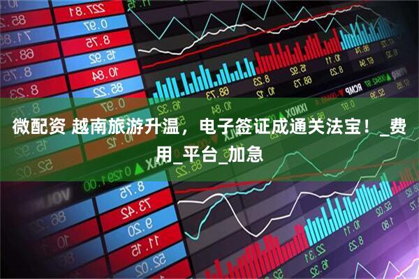 微配资 越南旅游升温，电子签证成通关法宝！_费用_平台_加急