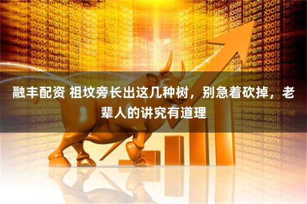 融丰配资 祖坟旁长出这几种树，别急着砍掉，老辈人的讲究有道理